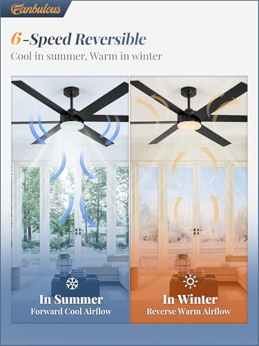 Image of Fanbulous 66 inch Outdoor Ceiling Fans with Lights, Dimmable 3CCT, Black