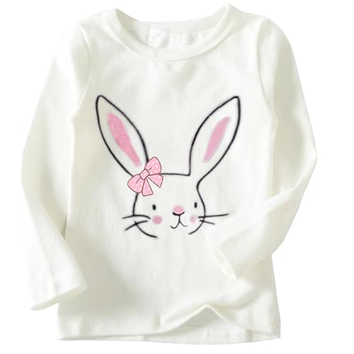 Image of Niyage Toddler Soft Thick Crewneck Tee Tops Girls Comfort Basic Long Sleeve T-Shirt