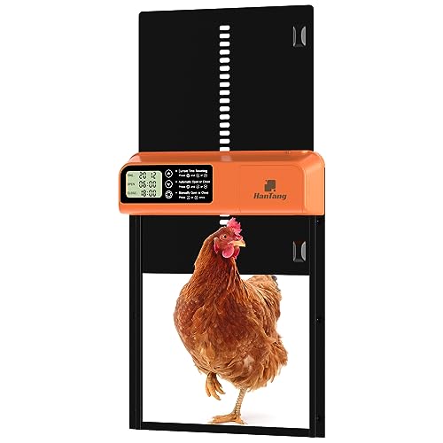 Puerta gallinero automática con Temporizador, Pantalla LCD, antiatascos, Funciona con Pilas y...