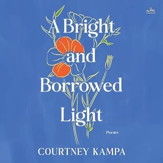 A Bright and Borrowed Light cover art
