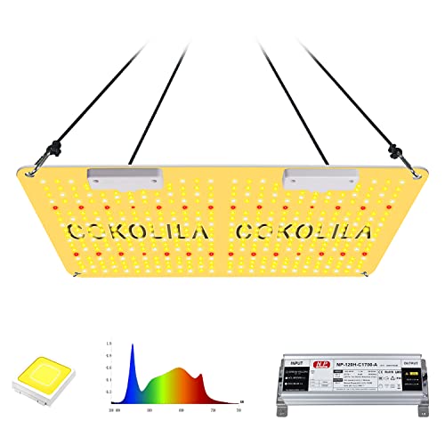 Silenziosa e affidabile: questa lampada a LED grossa è silenziosa e silenziosa. Viene utilizzato uno speciale refrigeratore in alluminio per il raffreddamento passivo, in modo da prolungare la durata e ridurre i costi di elettricità. I componenti di qualità e la lavorazione di alta qualità, durevole e robusta dei LED rivestiti con protezione adesiva parla per una maggiore durata. Confezione facile da usare