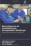  Beoordeling van de blootstelling aan beroepslawaai: Metallurgie: Beroepsrisico NR 15: Ongezonde activiteiten