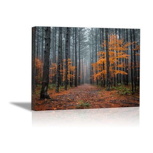 Décoration murale forêt pour salon élégant | Toile encadrée 30x50cm