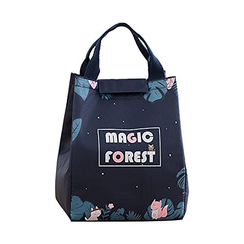 Vobony Lunch-Taschen Isoliertasche für Frauen Männer Faltbar Wasserdicht Thermotasche Kühltasche klein Isoliertasche Kinder Picknick Tasche für Arbeit, Schule und Unterwegs Cover