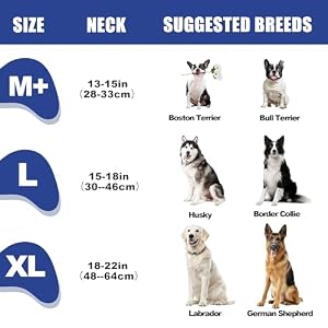 Inflatable Dog Cone Collar,Dog Cone Collar for Large Medium Small Dogs Adjustable Recovery Cone for Pets After Surgery Soft Dog Cone with Enhanced Anti-Licking Guard Shield for Pets(M+) Inflatable Dog Cone Collar,Dog Cone Collar for Large Medium Small Dogs Adjustable Recovery Cone for Pets After Surgery Soft Dog Cone with Enhanced Anti-Licking Guard Shield for Pets(M+)