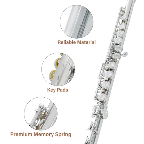 Image of Cecilio Closed Hole C Flute - Musical Instrument, Beginner /Intermediate Flute in Band & Orchestra, Nickel