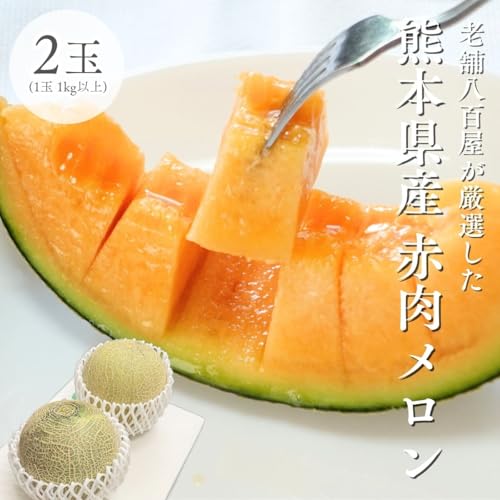 熊本県産 メロン」の人気商品一覧 | 安い商品を通販サイトから