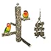 Allazone Jouets pour Oiseaux, Perchoir en Bois Naturel pour Cage Oiseaux, Jouet à Suspendre pour Perroquet, Bois Pieds Perchoirs, Balançoires, Échelles, Escalade Perché