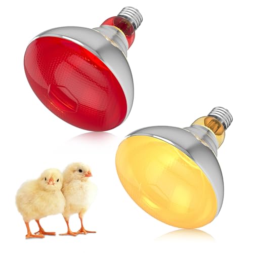 Lámpara de calor por infrarrojos 250 W E27 PAR38: 1 lámpara de calor de luz roja + 1 lámpara de calor de luz blanca para reptiles día/noche, lámpara de calefacción por infrarrojos regulable para