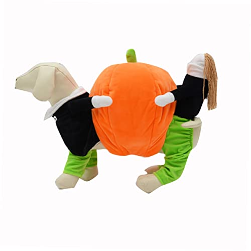 Disfraz de calabaza para perro pequeño Halloween miniatura 1