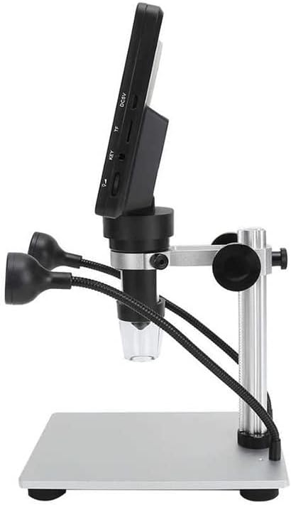 GOCCODO ゴッコ堂 稲荷山 リアルヘッド クマ ソフビ フィールドスタイル