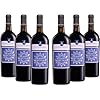 Feudo Apuliano Negroamaro Salento IGP, Rotwein mit Abgerundetem und Vollem Geschmack, und Intensivem und Komplexem Bouquet, 14,5 % Vol., Karton mit 6 Flaschen mit jeweils 750 ml