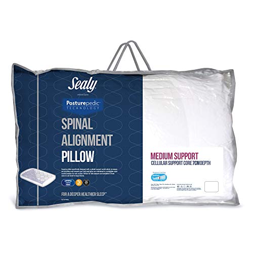 Top 10 Sealy Pillows Of 2020 Best Reviews Guide