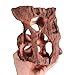 Watreketal Random Styles Driftwood Tree Stump Aquarium Decors Safe Hideouts for Fish and Reptiles Fishtank Landscaping Natural Wood Aquarium Accessories