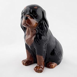 Quail Ceramics CAVALIER KING CHARLES MONEY BOX BLACK AND TAN