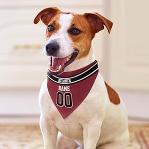 Atlanta-Personalized-Dog-Bandana-Custom-Design-Name-Number-Dog-Scarf-Personalized-Football-Dog-Bandana-Gifts-for-Dogs-Cats - Cucciolini Doodles Atlanta-Personalized-Dog-Bandana-Custom-Design-Name-Number-Dog-Scarf-Personalized-Football-Dog-Bandana-Gifts-for-Dogs-Cats
