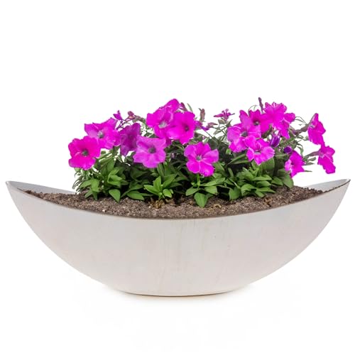 matches21 HOME & HOBBY Ovale Pflanzschale als große 55 cm Vintage Outdoor Deko-Schale Creme-Weiss glänzend