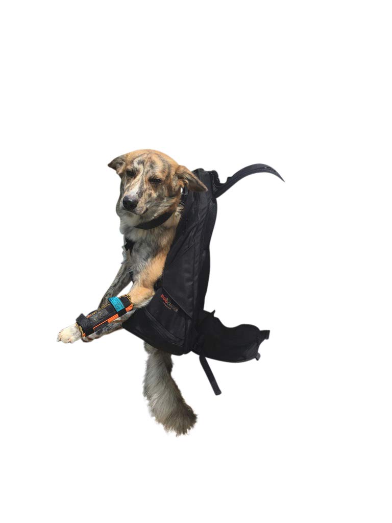Mochila para perros XXL patentada, para perros macizos, compactos y fuertes de 16-30 kg de peso con sistema de transporte de 4 correas patentado