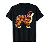 Autumn Pumpkin Fall Bernese Mountain Dog Thanksgiving Womens T-Shirt