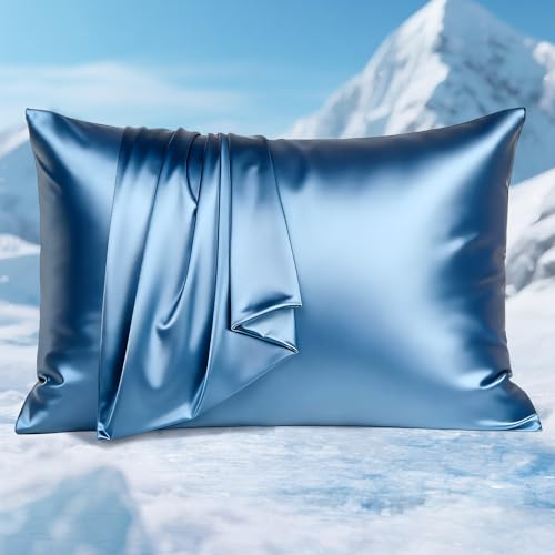 Avolare 2 Pack Silky Cooling Pillow Cases, Arc-Chill Standard Pillow Cases for Hot Sleepers, Gentle on Hair and Skin, Zipper Cooling Pillow Cover, Machine Washable, (Royal Blue)