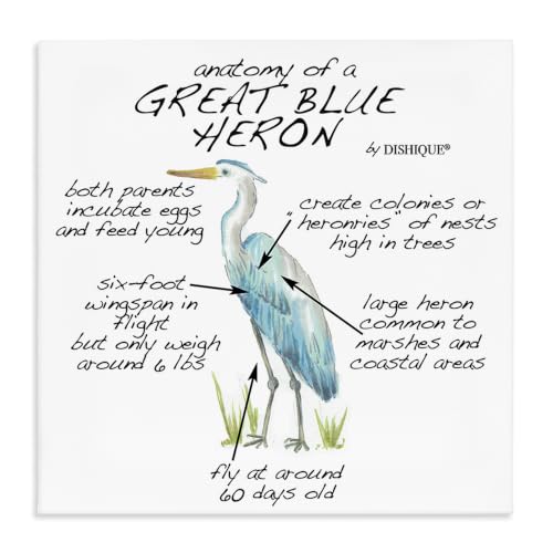 Stupell Industries Great Blue Heron Learning, 17 x 17 Inch Canvas Wall Art