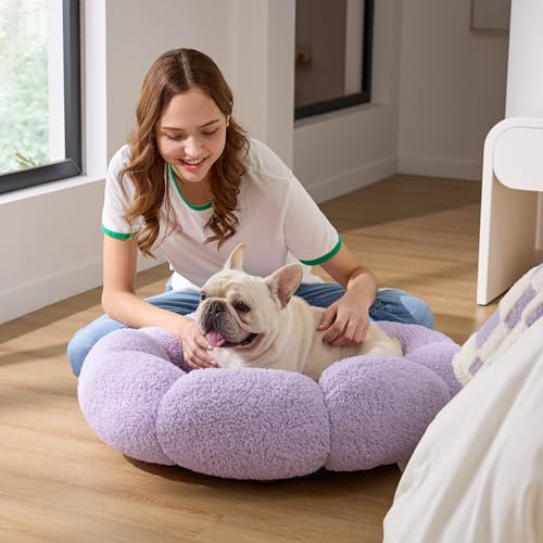 lesure calming medium dog bed - flower donut round fluffy puppy bed in plush teddy sherpa non-slip cute flower cat beds for indoor cats medium pet bed fits up to 45 lbs machine washable purple 3034