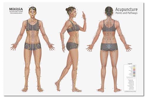 Image of Miridia Acupuncture Chart - Huge Laminated Anatomical TCM Meridian & Points Poster - Clinic /Study Use - Accurate Acupuncture Point Chart - Clear Labels - Comprehensive Meridian System - 36x24, Female