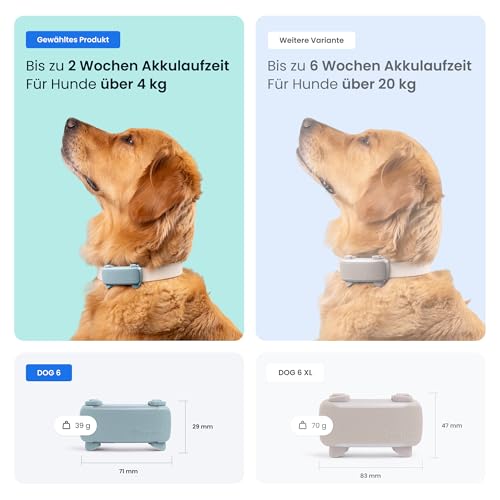 Tractive GPS Tracker Hund | 2025 Edition | Live-Ortung | Weglaufalarm | Aktivitätstracking | Gesundheitswarnungen | Bellverhalten | Empfohlen von Martin Rütter (Mint)
