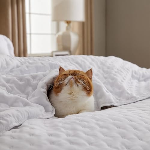 Image of Bedsure Quilts Queen Size - Lightweight Comforter Queen Size for Summer, Bright White Bedspread Quilt with Clover Pattern, Soft Ultrasonic Coverlet, Modern All-Season Bedding, 90 x 96 Inches
