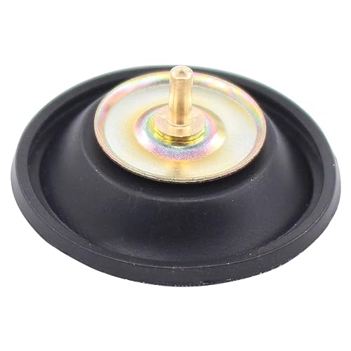 Vergaser Reparatur Satz Motorrad Umbausatz Überholung mit Membran Kolben Düsennadel Hauptdüse Schwimmerkammer Dichtung Membranventil Werkzeuge für Honda VT 600 C Shadow PC21 1988-1998 VT600 VT600C