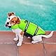 Schwimmweste Hund, FainFun Hunde Schwimmwesten Klein, Schwimmweste Hai Hund, Schwimmweste für Hunde mit Starkem Auftrieb für die Notfallrettung(Grün XXL)