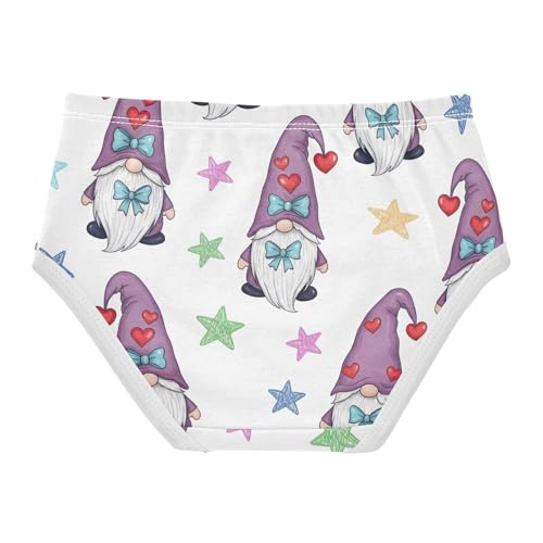 Girls Underwear Toddler 2t Cotton Panties Little Girl Bright Underpants Briefs Cute Purple Gnome St2