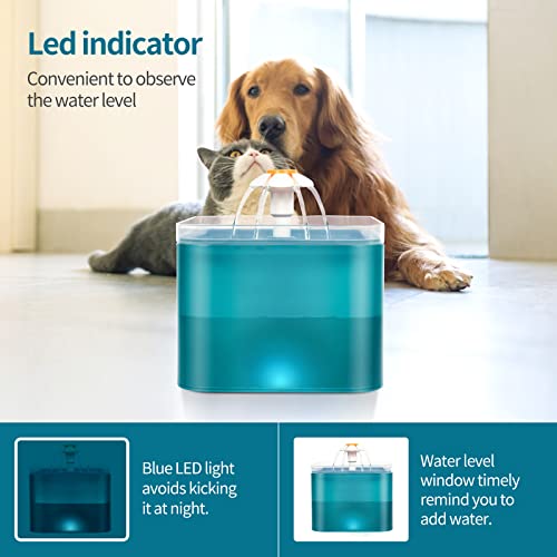 Fuente de Agua Automática para Gatos 2L Azul miniatura 3
