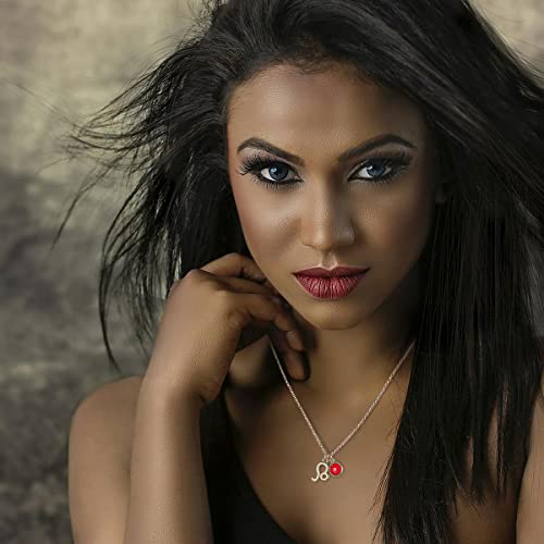 14k Gold Plated Zodiac Birthstone Crystal Pendant Necklace, Horoscope Sign Charm Necklace for Women Birthday Gift4