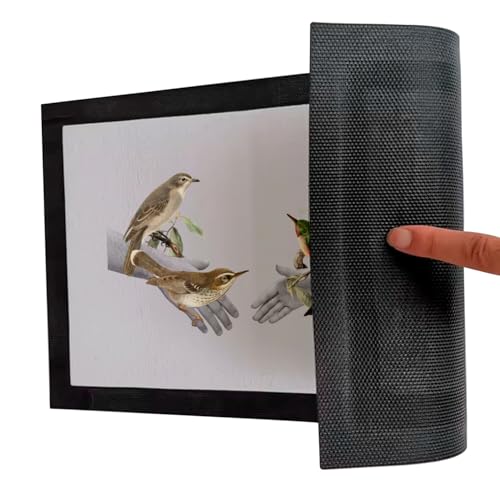 Paillasson gris 60x40cm oiseaux tapis entrée design - 5