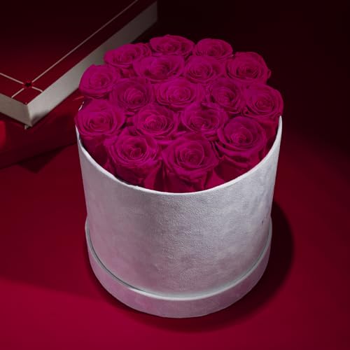 17 Flowers in a Luxury Suede Box, Birthday Gifts for Women, Preserved Flowers, Mothers Day Roses Gift for Mom, Hot Pink