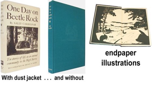 One day on Beetle Rock B00071NDRY Book Cover