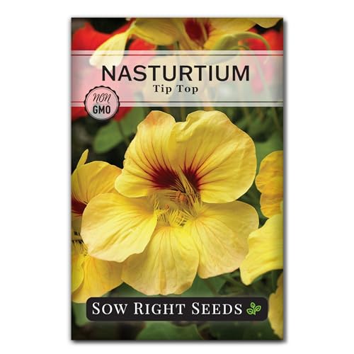 Sow Right Seeds - Tip Top Nasturtium Seeds for Planting - Non-GMO Heirloom Variety - Bright Blooms for Gardens and Containers - Easy Grow Annuals - Pollinator-Friendly and Edible Flowers (1)