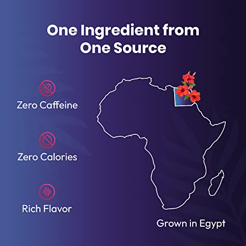 Image of Organic Hibiscus Tea -100 Tea Bags | Organic Herbal Tea From Single Origin | Eco-Friendly Tea Bags | Non-GMO Caffeine Free Tea With Zero Sugar | Cederberg Tea Company