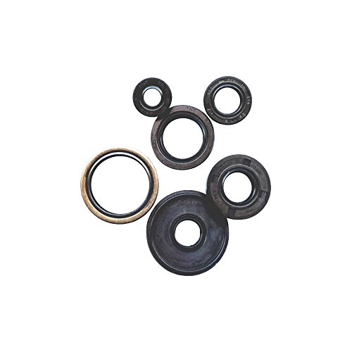 Winderosa 822283 Joints stop fuite huile carter bas moteur