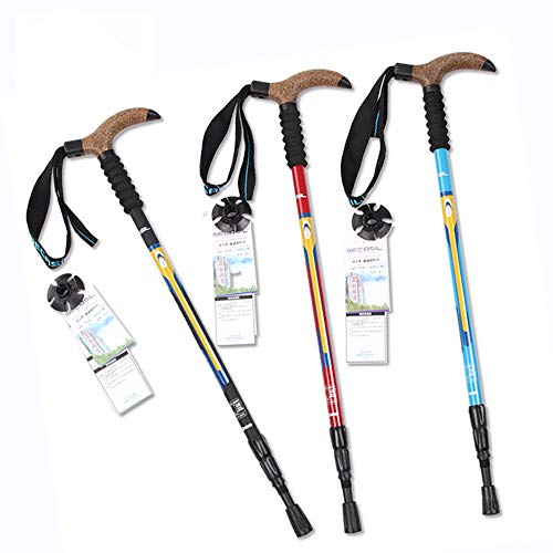 Bastones para caminar GSP de carbono para rutas de montaña 2