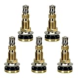 Myers Tire Supply TR-618A Straight Metal Clamp in Air-Liquid Tubeless Valve Stem for Easily Filling...