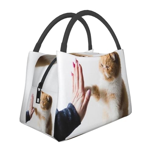 nC^b`L `obO ٓ e y ۗ ۉ 􂦂  sNjbNp d [ ʋ ʊw fMobO ܂肽 VbsOobO RrjobO  N[[obO lp jp p qp