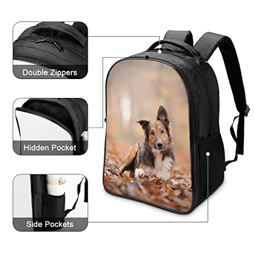 School Backpack durable Collie Collie de haute résistance avec finitions soignées
