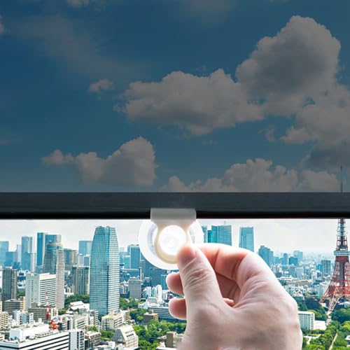 Persianas Enrollables con Ventosa Material Pet Protección Solar Índice de Bloqueo de la luz del 15% Parasole retrattili Opaco Cortina Ventana Ajustables,Estor Enrollable (68×130cm)