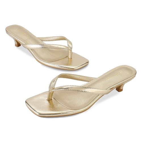 Image of Women's Flip-Flops Kitten Heels Thong Sandals For Women Square Toe Slip On Fashion Summer Dress Sandals