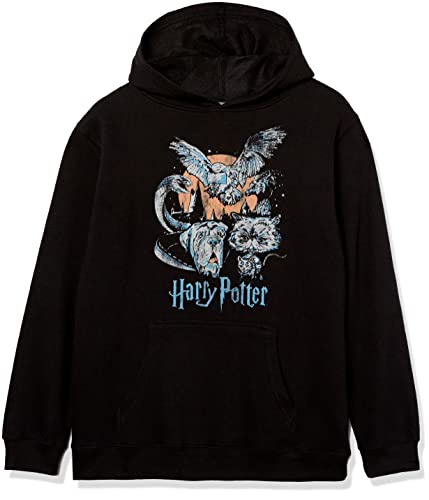 Sweatshirt à capuche Harry Potter enfant anti-bouloche, pull chaud et résistant