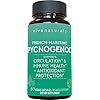Pycnogenol-100mg-from-French-Maritime-Pine-Bark-Extract-Healthy-Blood-Circulation-Supplements-Powerful-Antioxidant-Protection-Joint-Support-and-Immune-Support-60-Veggie-Capsules Pycnogenol 100mg from French Maritime Pine Bark Extract Capsules - Healthy Blood Circulation Supplements, Antioxidant Protection, Joint Support and Immune Support - 60 Pycnogenol Supplements