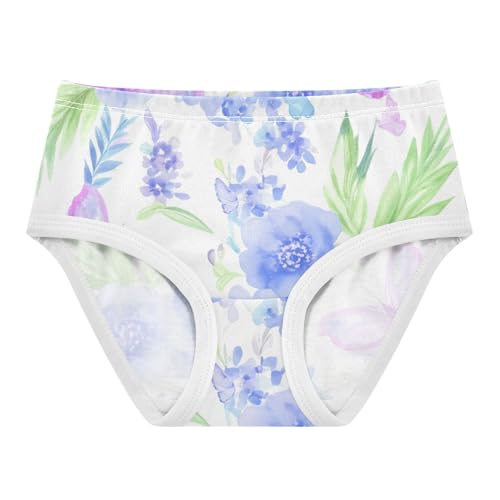 Flowers Butterflies Pastel Blue Girls Underwear Toddlers 2t Cotton Panties for Girl Colorful Briefs Undies Kids