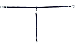 Labra Dog Truck Bed Tether Tie Down System: Secure Leash for Truck Beds